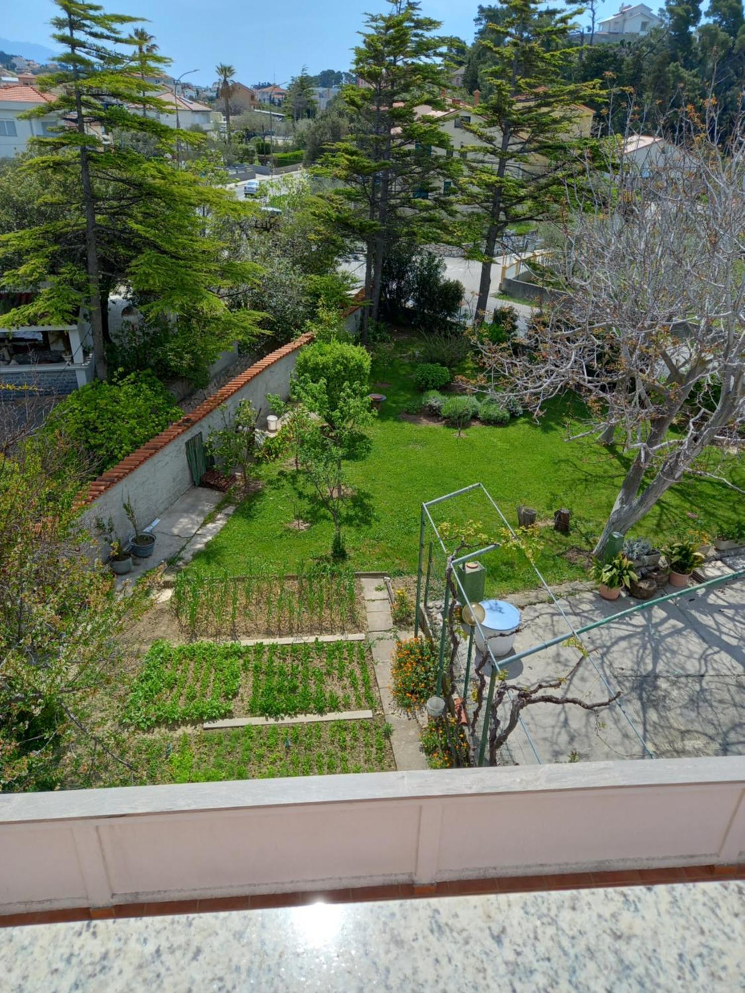 Apartment Preka Palit Exterior foto